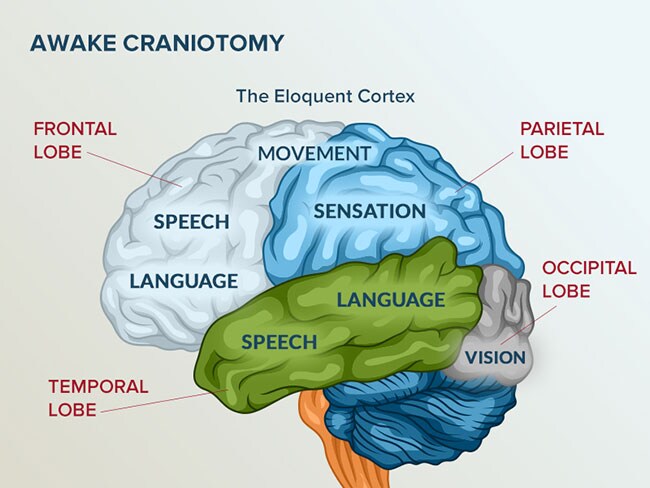 eloquent brain definition