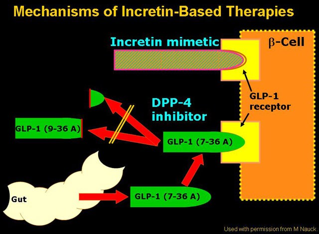 Glp-1 drugs for diabetes