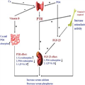 Secondary Hyperparathyroidism: Pathophysiology and Treatment