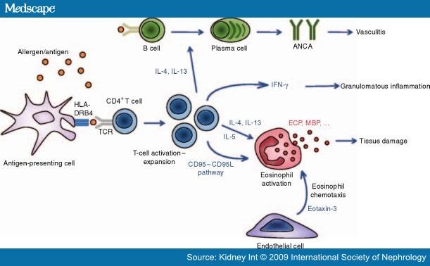 Eosinophil cationic protein