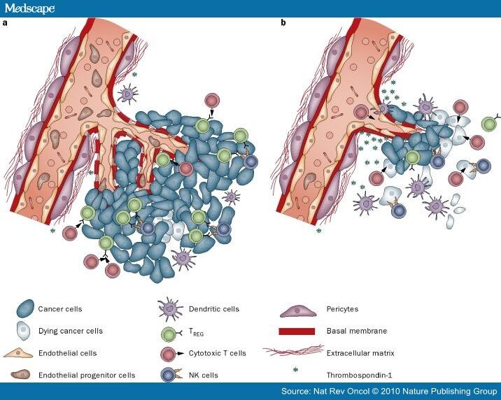 Metronomic Chemotherapy: New Rationale for New Directions