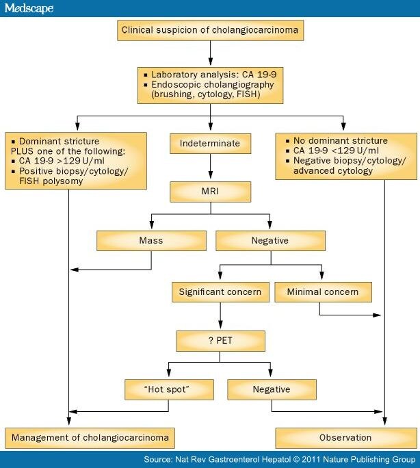 Clinical Diagnosis and Staging of Cholangiocarcinoma