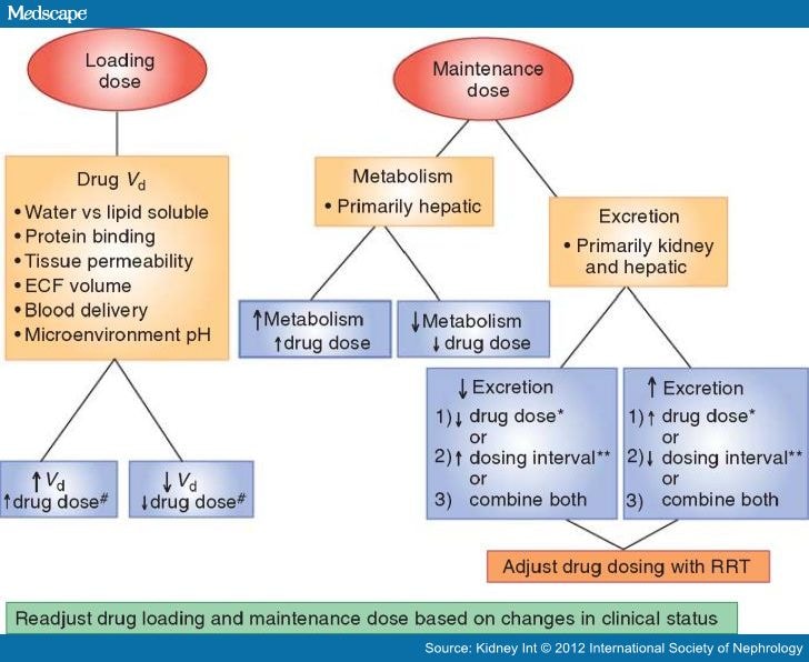 Drug Use and Nephrotoxicity in the Intensive Care Unit