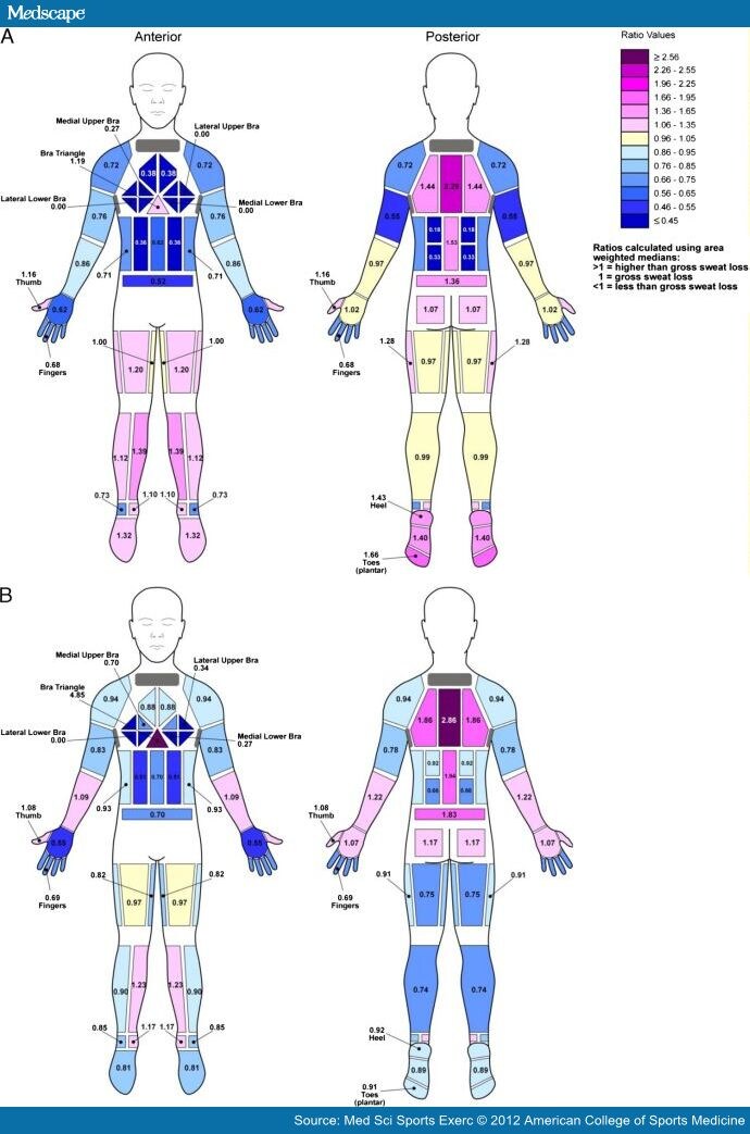 Body Mapping of Sweating Patterns in Athletes