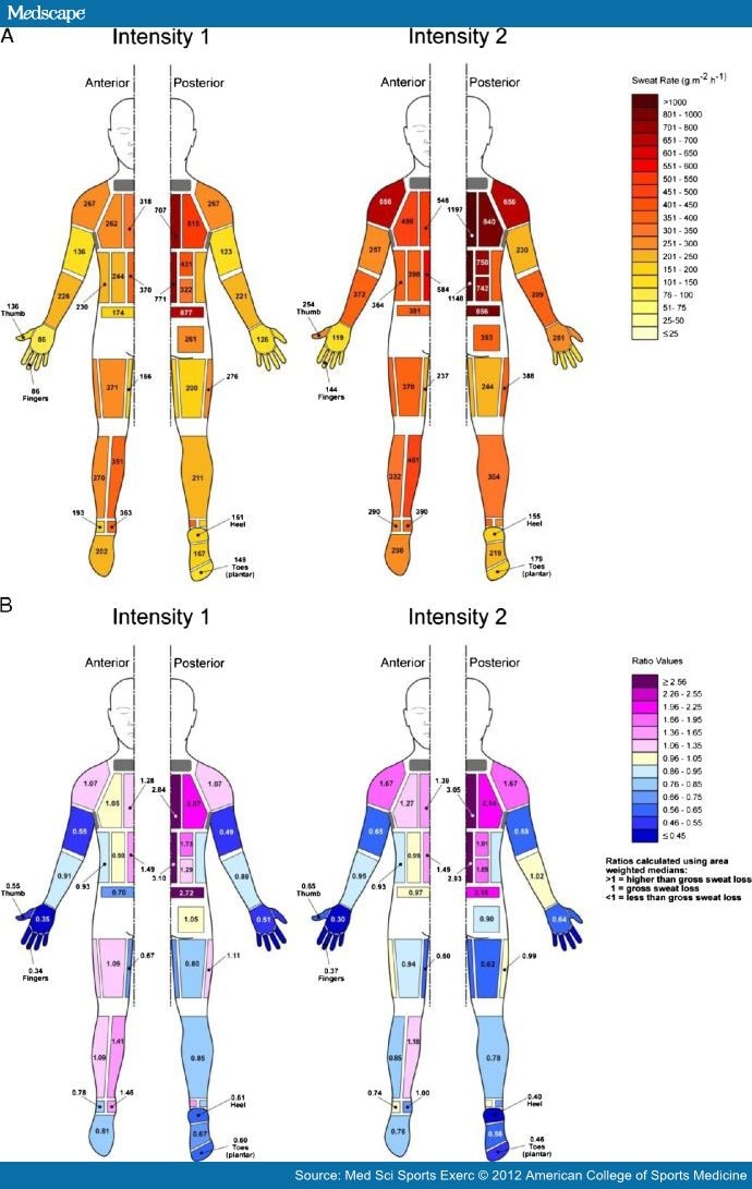 Body Mapping of Sweating Patterns in Athletes