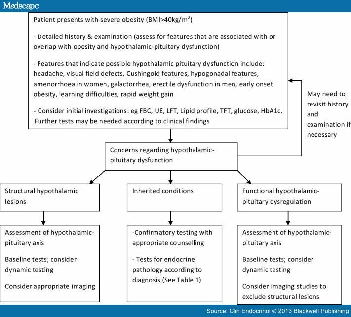 How to Approach Endocrine Assessment in Severe Obesity?