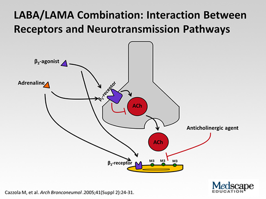 Optimizing Bronchodilator Therapy in COPD Through LABA/LAMA Combination ...