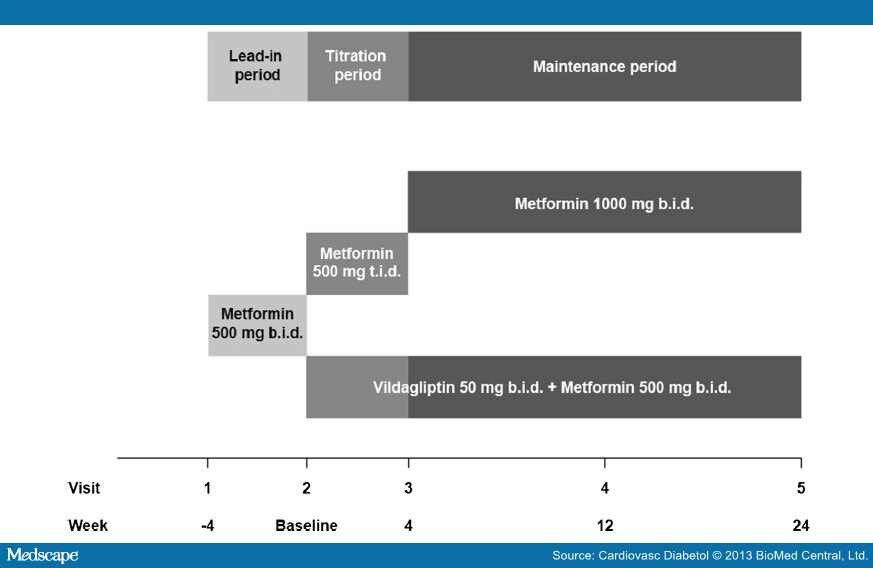 Vildagliptin and Metformin vs Metformin Titration in T2DM: Materials ...