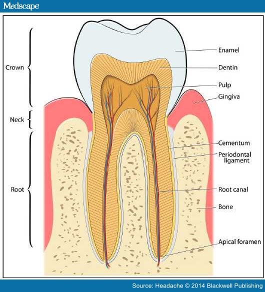 Orofacial Pain