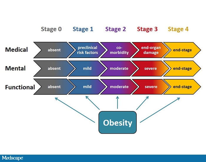 Tackling the Obesity Pandemic -- Latest Scientific Insights and Novel ...