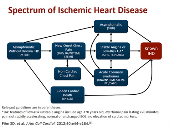 Appropriate Use Criteria for the Risk Assessment of Stable Ischemic ...