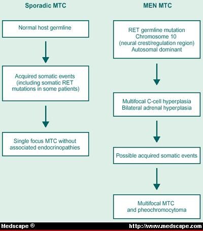 Multiple Endocrine Neoplasia; Adenomatosis, Familial Endocrine ...