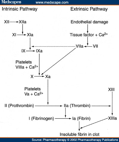 Prevention of Venous Thromboembolism