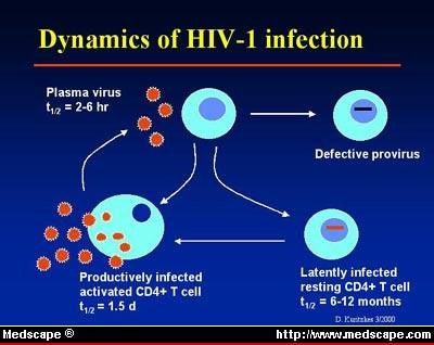 HIV Pathogenesis and Viral Markers