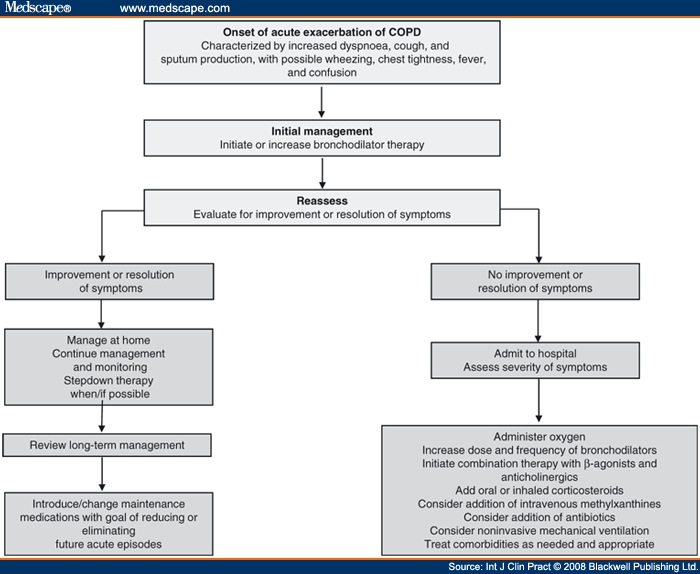 Acute Care: Acute Exacerbation Of Copd Care Plan