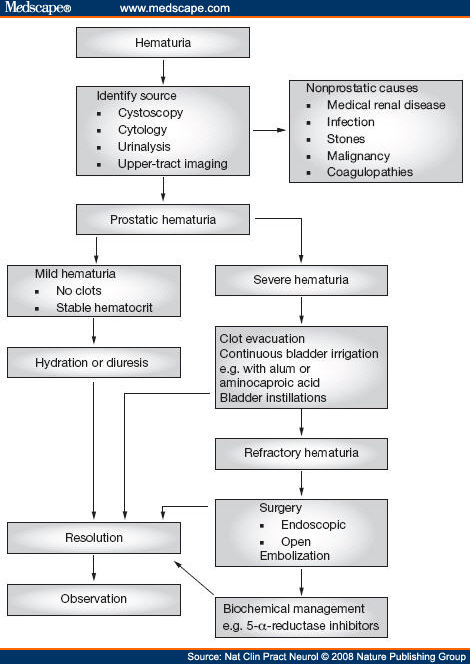 Persistent Prostatic Hematuria: Diagnosis