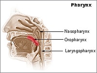 Low-Dose Radiation Okay in Some HPV Head and Neck Cancers