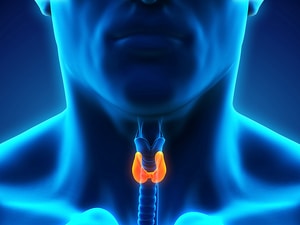 Treating Subclinical Hypothyroidism May Help Migraine