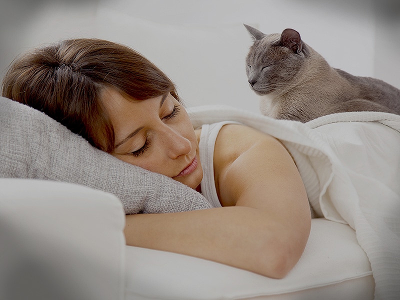 Sleeping With Pets May Contribute to Insomnia