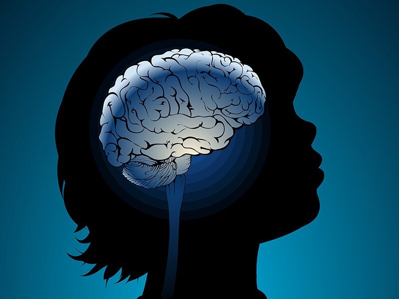 1 brain