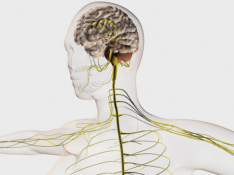 Fibromyalgia Imaging Study Shows Unique Brain Connectivity