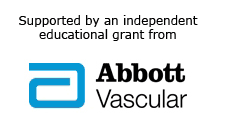 Supported by an independent educational grant.
