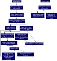 Suprapubic Cystostomy