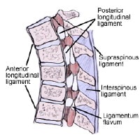 Subarachnoid Spinal Block