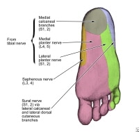 Posterior Tibial Nerve Block: Overview, Periprocedural Care, Technique