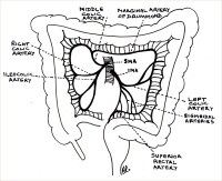 Sigmoid and Cecal Volvulus: Background, Anatomy, Pathophysiology