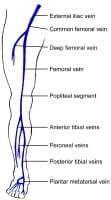 Venous Gangrene