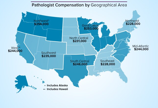 Pathologist Average Salary Medscape Compensation Report 2014