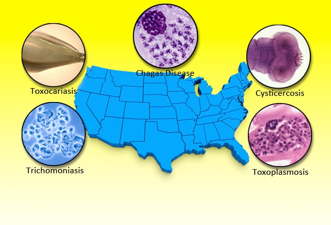 infectious and parasitic diseases