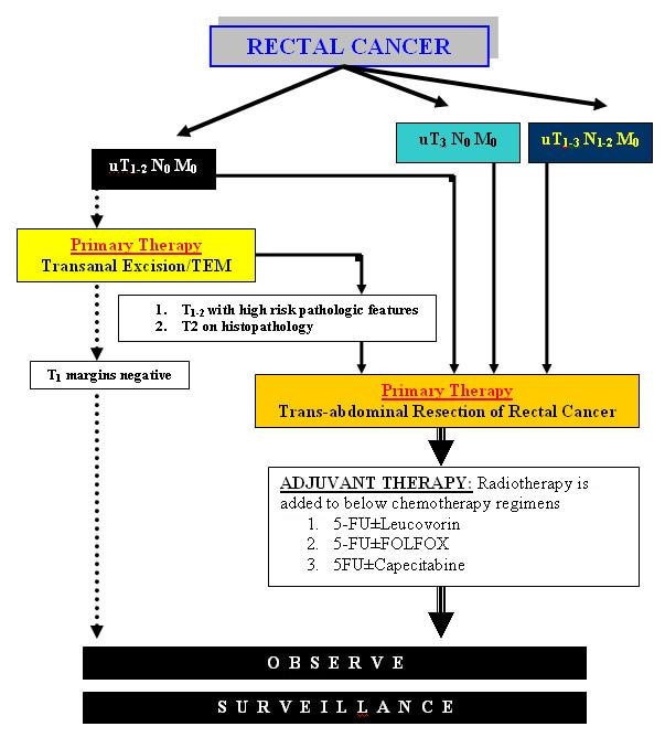 Who owns french lick resort Anal effects long sex term