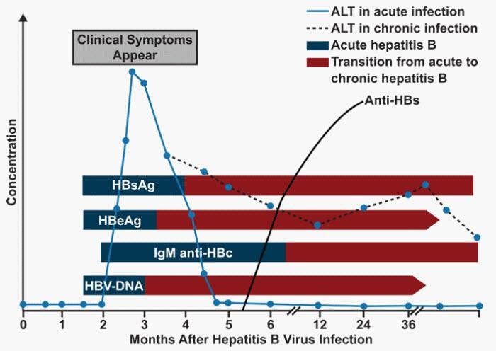 Evaluating Nexgard and Bravecto for flea and