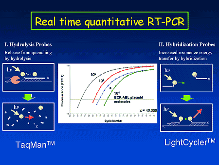 What is Real-Time PCR (qPCR)?