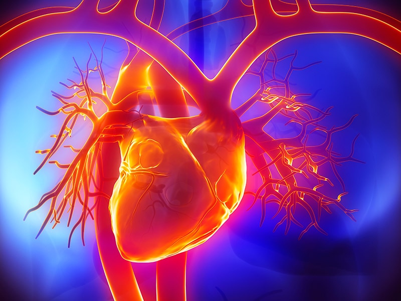 what-do-you-know-about-pulmonary-artery-pressure-pap-as-a-diagnostic-in-hf