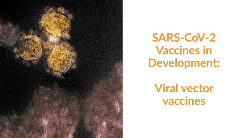 SARS-CoV-2 Vaccine Development: Viral Vector