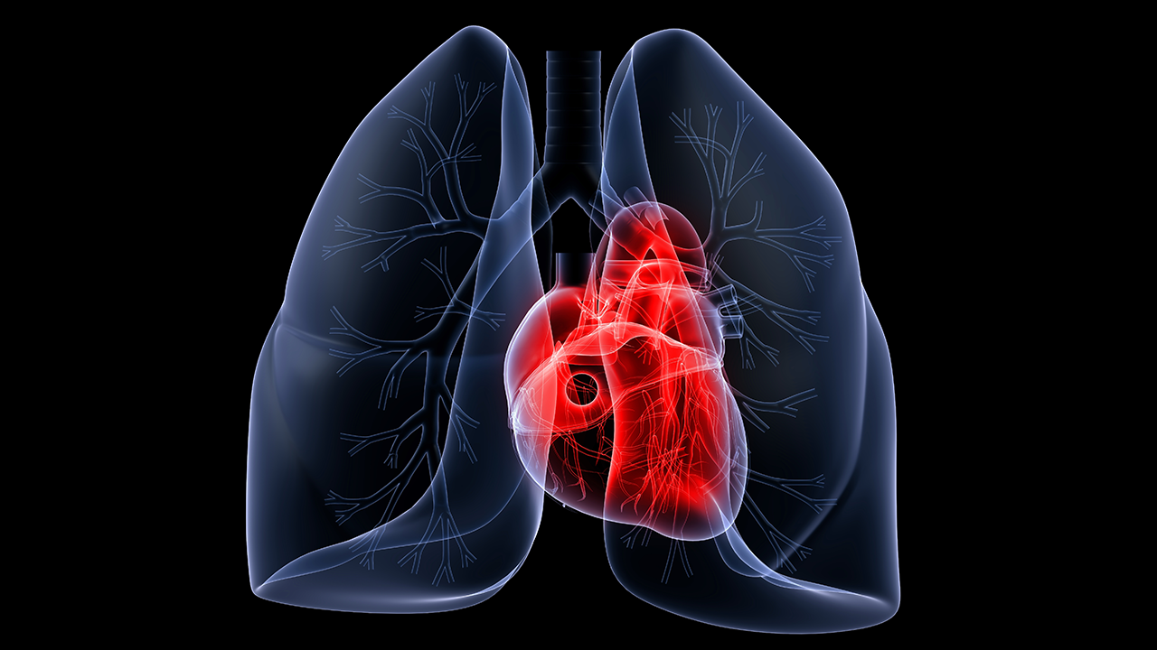 Which New HFrEF Treatment for Which Patient?