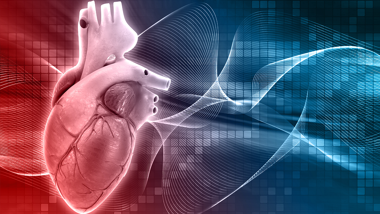 Сердечно-сосудистая хирургия. Сердечно-сосудистые заболевания. Cardiology disease. Сердце кардиология. Человеческое сердце фото.