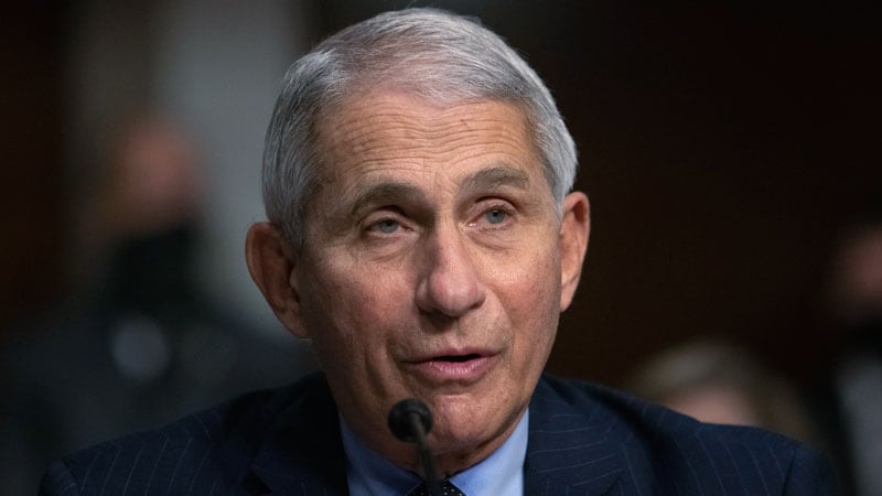 Fauci's Daughters Won't Visit Him for Thanksgiving - License to Blog