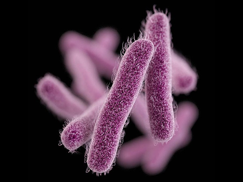 MDR Shigellosis An Emerging Sexually Transmitted Infection