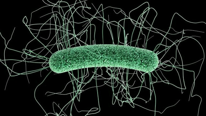 Le peroxyde d’hydrogène en aérosol peut réduire considérablement les infections à C. difficile