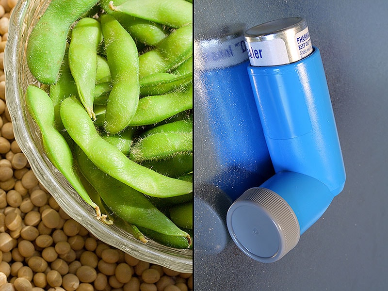 Soy Supplement Did Not Improve Asthma
