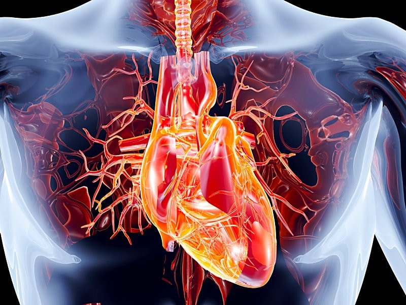 No Deaths With Mild/Moderate PVR: CoreValve Two-Year Data