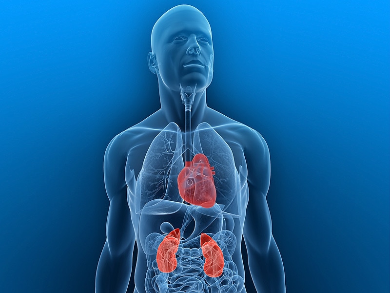 Неоперабельного рака пищевода. Urologic pictures. Scheme Urology.