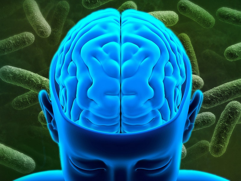 The Microbiome And Brain Health: What's The Connection?