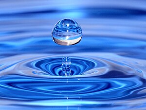 Simple DROP Score Appears to Identify Postural Hypotension