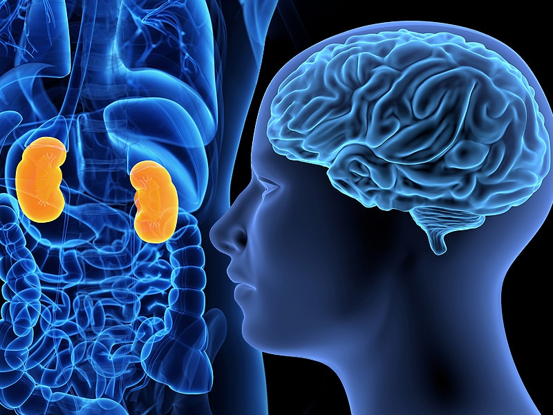 poor-kidney-function-impedes-blood-flow-to-the-brain