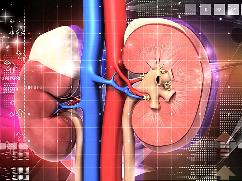 LCZ696 Doesn't Hurt, May Help Renal Function in HF: Analyses